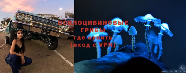 прущие грибы Армянск