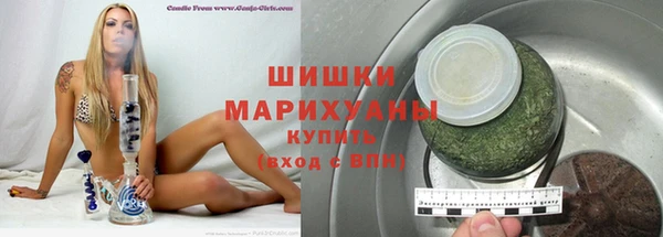 прущие грибы Армянск