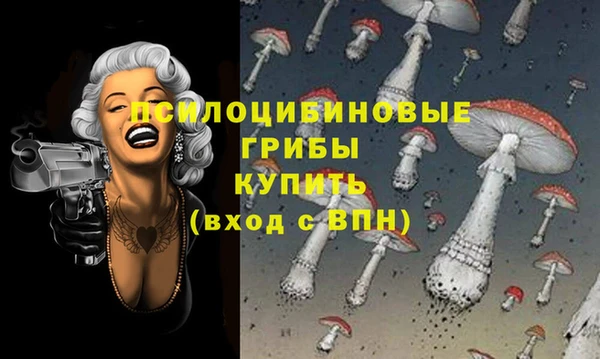 прущие грибы Армянск